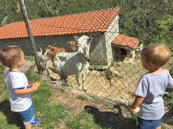 bambini capre fattoria didattica