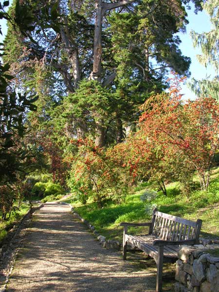 villa hanbury giardini botanici