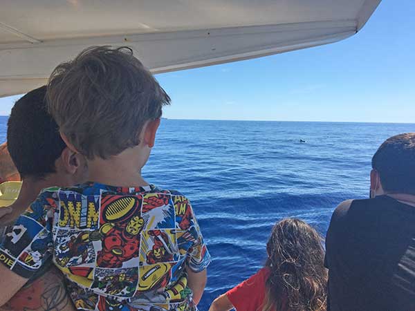 bambino whalewatching genova