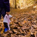 bambino nel bosco in autunno