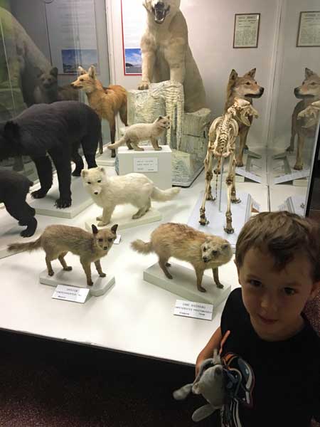 bambino con animali al museo genova